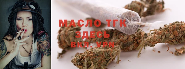 гидра Аркадак