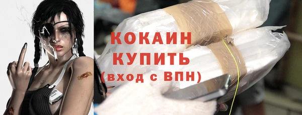 гидра Аркадак