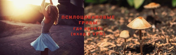 прущая мука Армянск