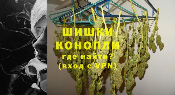 гидра Аркадак