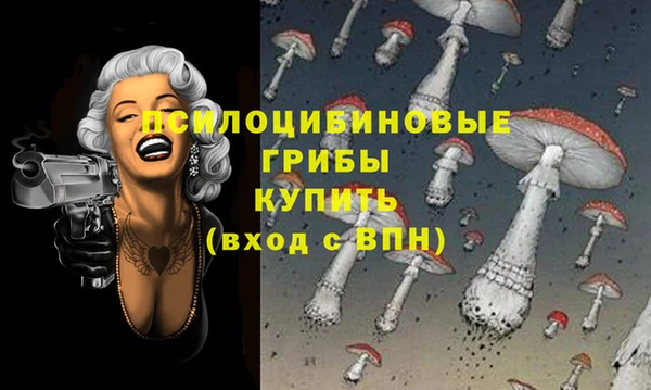 мескалин Арсеньев