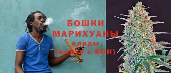 гидра Аркадак